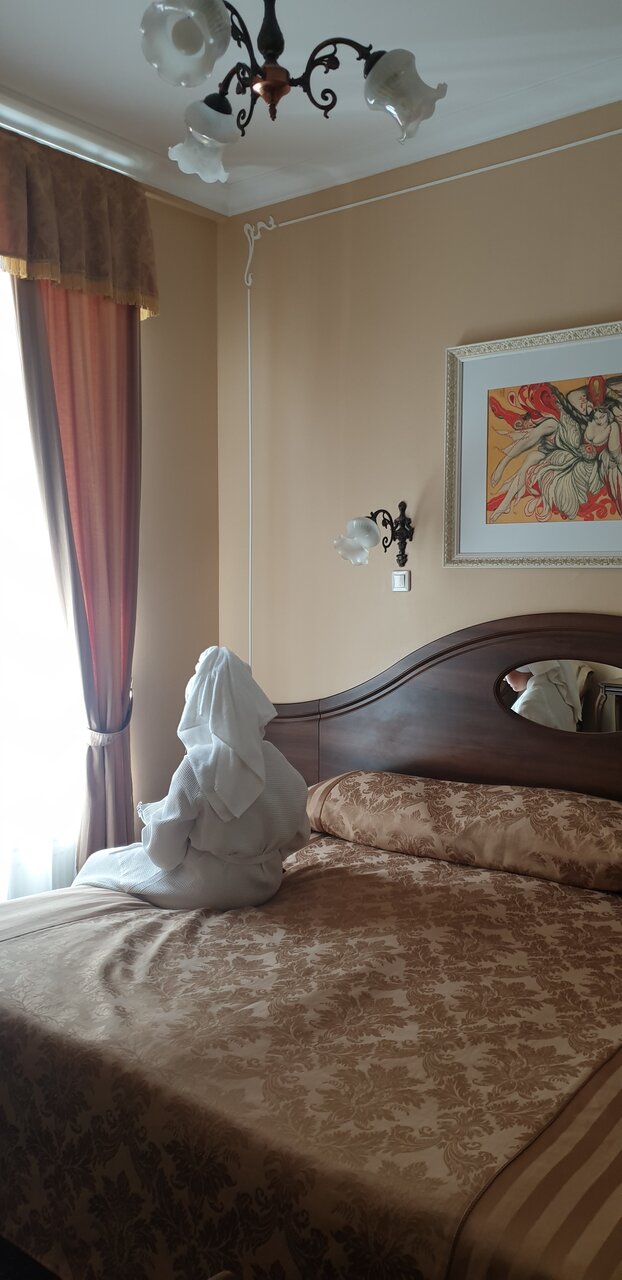 Гостиница Старая Вена Санкт-Петербург-84