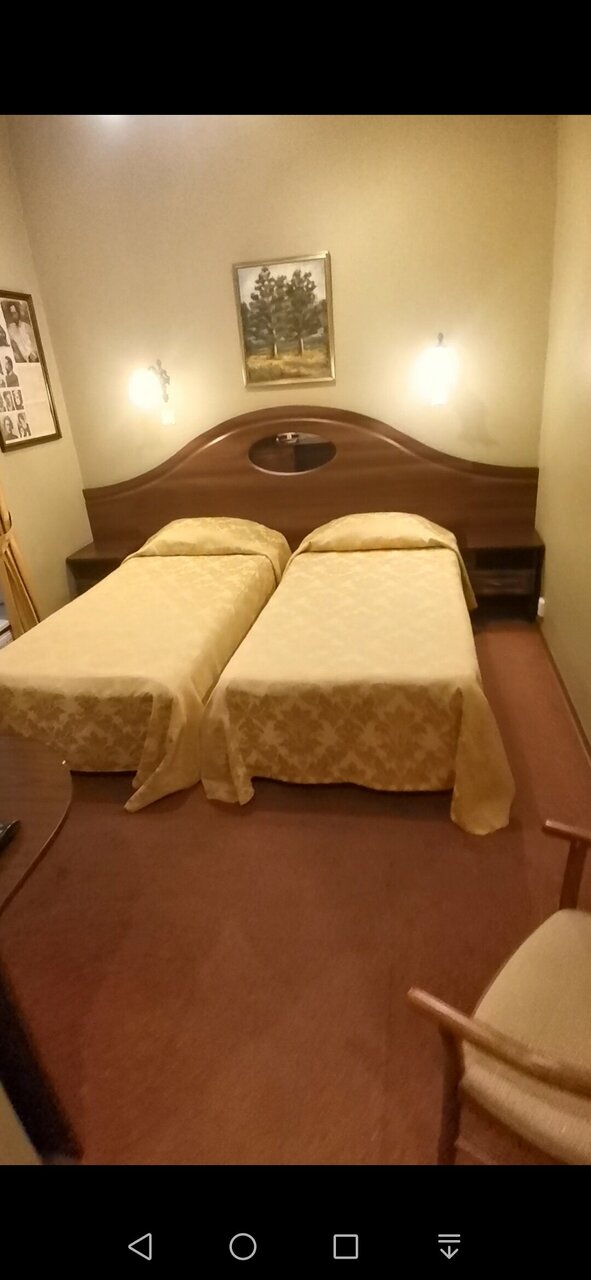 Гостиница Старая Вена Санкт-Петербург-86