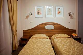 Гостиница Старая Вена Санкт-Петербург Двухместный номер Делюкс с 1 кроватью или 2 отдельными кроватями-3