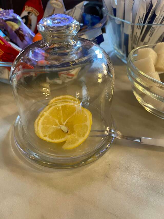 Гостиница Старая Вена Санкт-Петербург-101